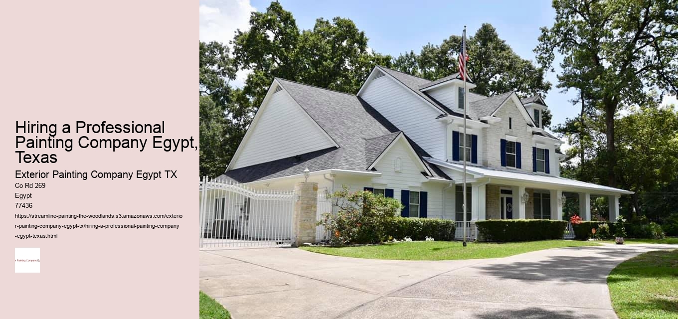 Hiring a Professional Painting Company Egypt, Texas